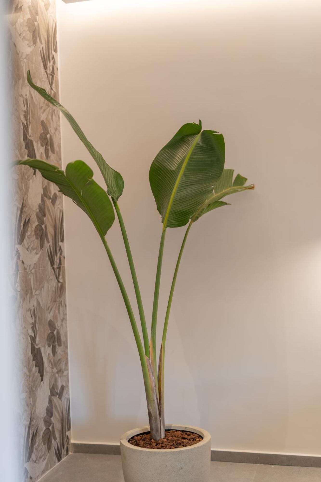 Le Fleur Suite Iráklio Kültér fotó